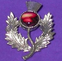 Heather Gem Thistle Brooch CHB1